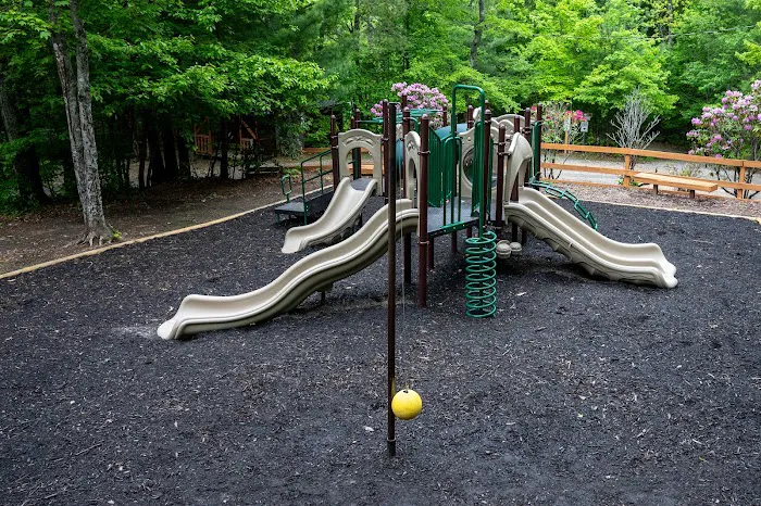 Spacious Skies Campgrounds - Bear Den Picture 1