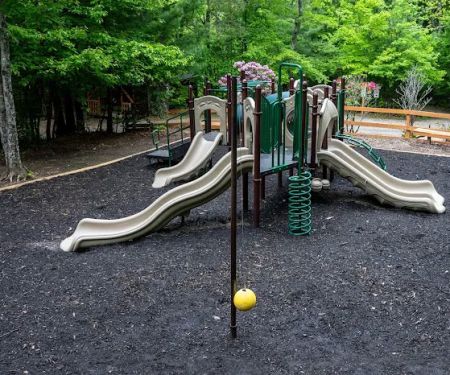 Spacious Skies Campgrounds - Bear Den