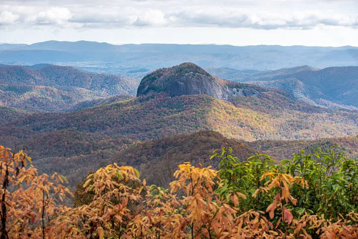 Spacious Skies Campgrounds - Bear Den Picture 4