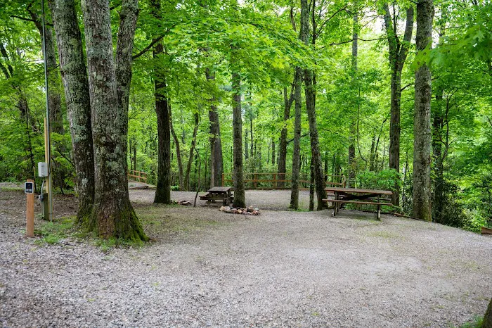 Spacious Skies Campgrounds - Bear Den Picture 7