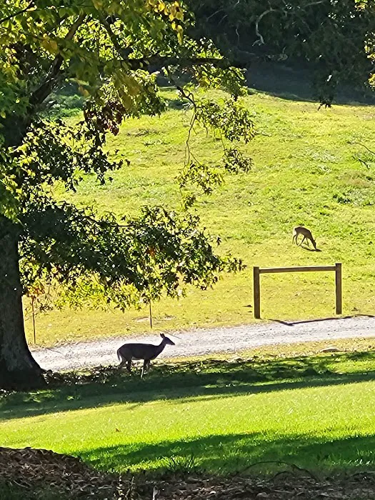 Springmaid Mountain Campground Picture 7