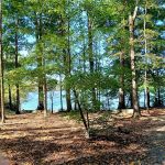 Cane Creek Campground
