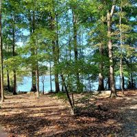 Cane Creek Campground ico