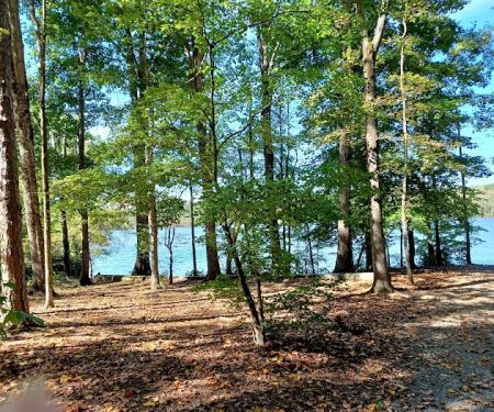 Cane Creek Campground