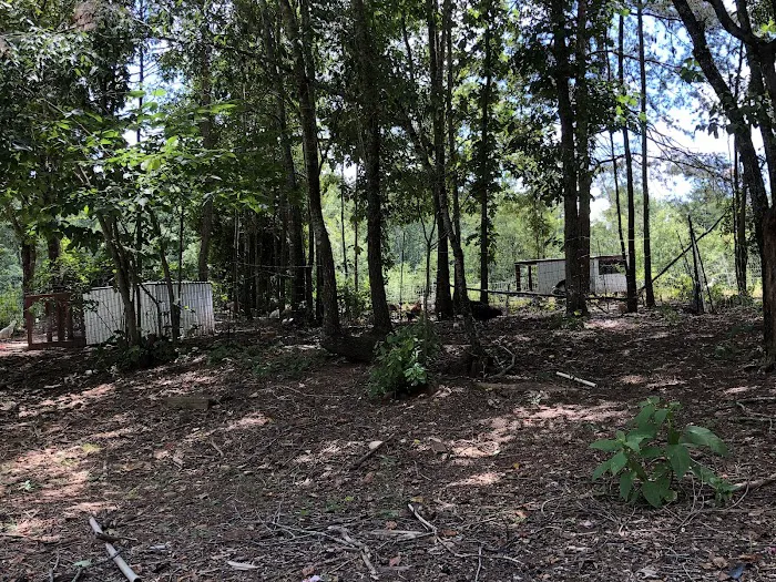 Foothills Family Campground Picture 6