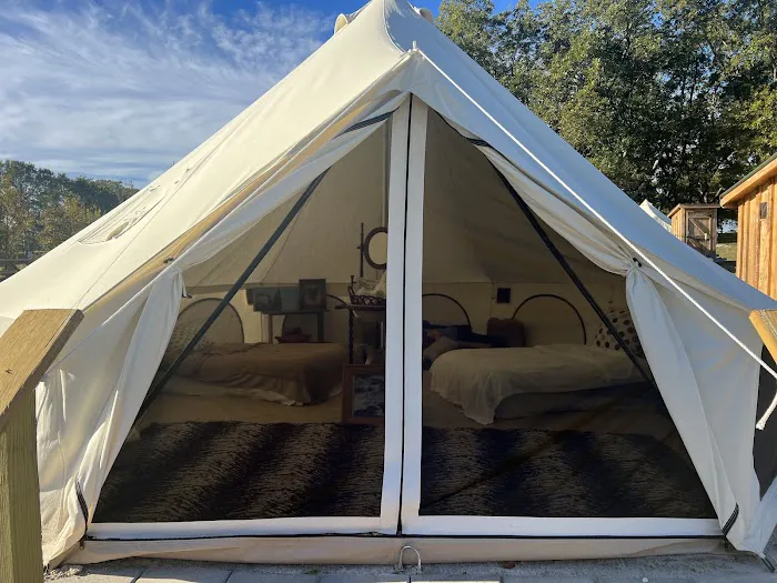 Upstate Pecan Grove Picture 4