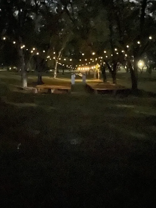 Upstate Pecan Grove Picture 2