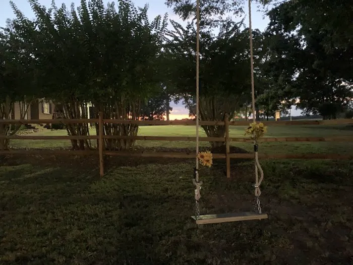 Upstate Pecan Grove Picture 5