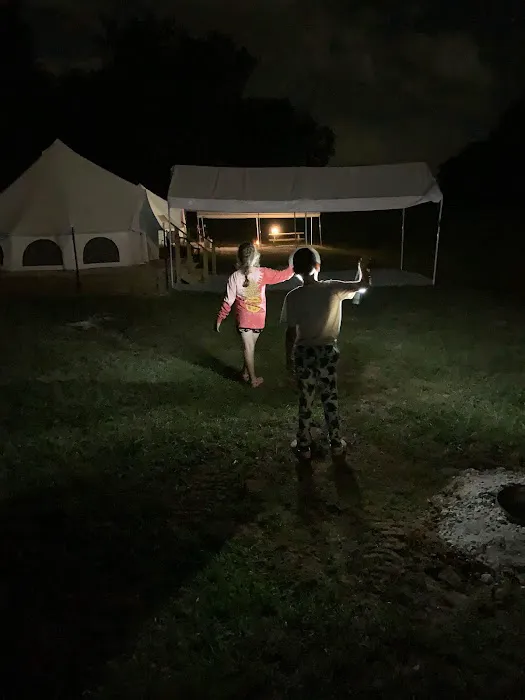 Upstate Pecan Grove Picture 7