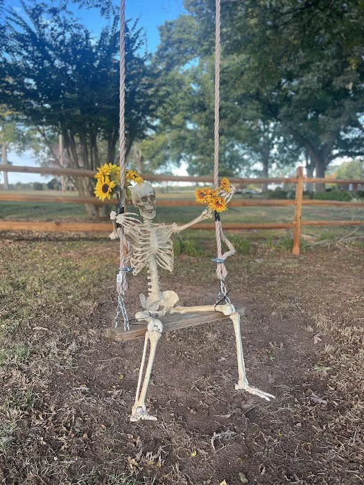 Upstate Pecan Grove Picture 3