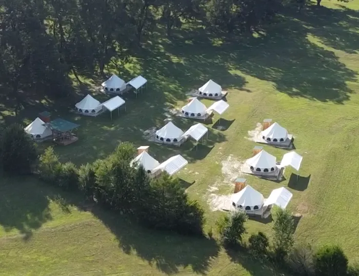 Upstate Pecan Grove Picture 8