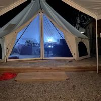 Upstate Pecan Grove ico