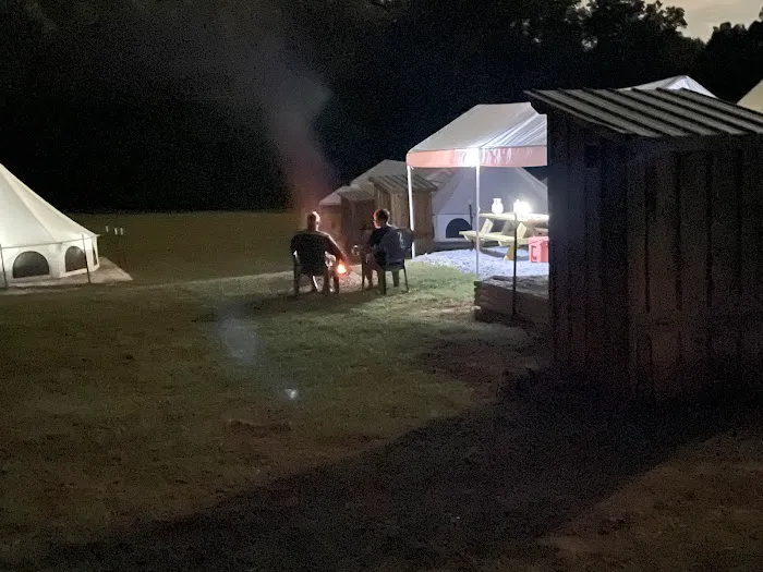 Upstate Pecan Grove Picture 6