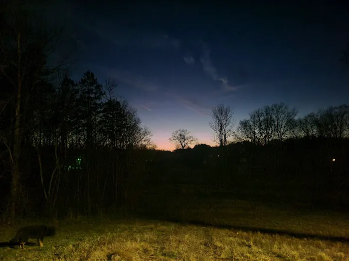 Toms Lake Campground Picture 1