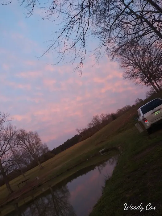 Toms Lake Campground Picture 6