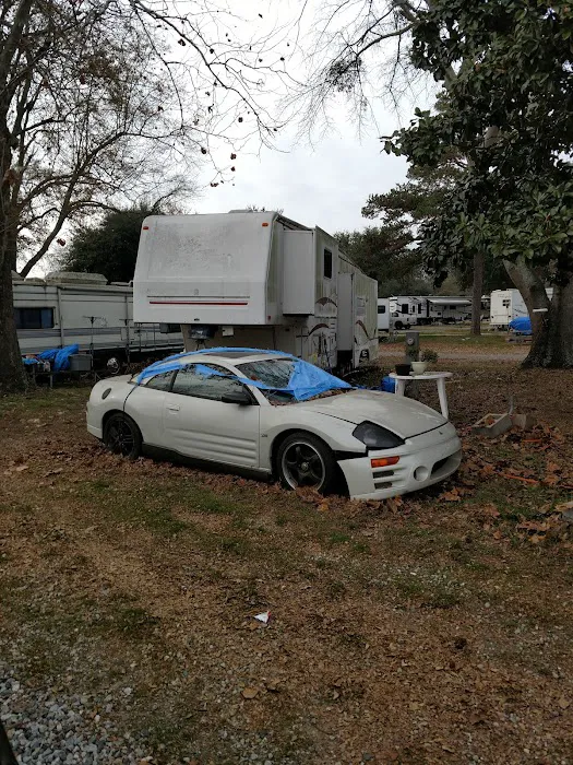 Cunningham RV Park Picture 3