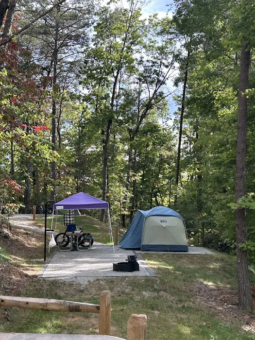 Black Bear Campground and Park Picture 9