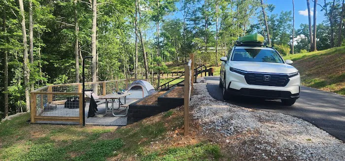 Black Bear Campground and Park Picture 4