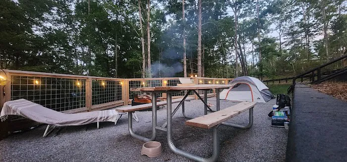 Black Bear Campground and Park Picture 6