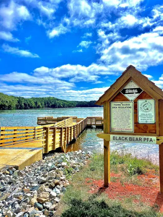 Black Bear Campground and Park Picture 3