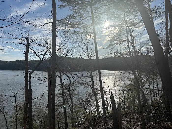 Black Bear Campground and Park Picture 10