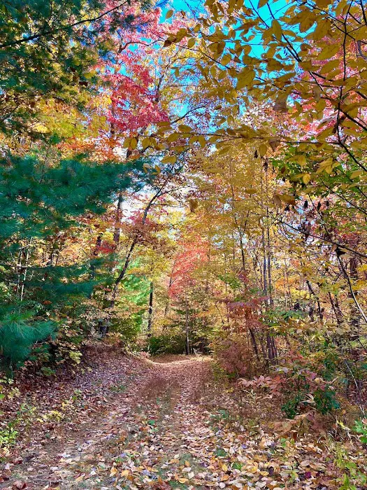 Tanglewood Campground Picture 3