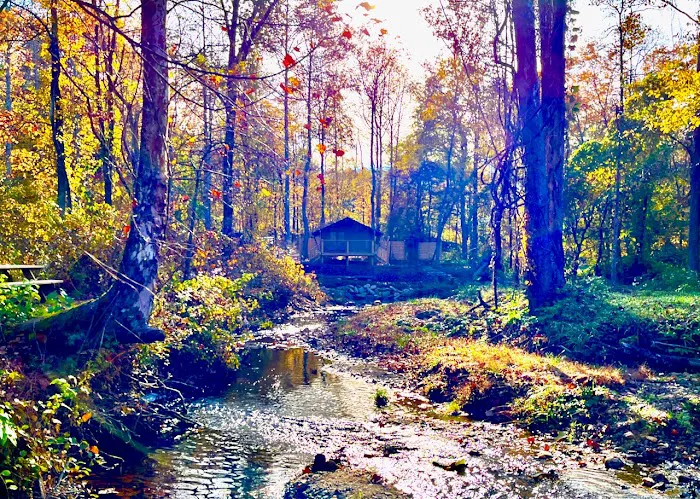 Tanglewood Campground Picture 2