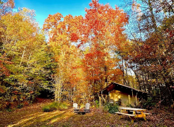 Tanglewood Campground Picture 1