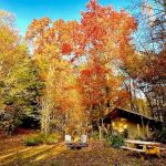 Tanglewood Campground