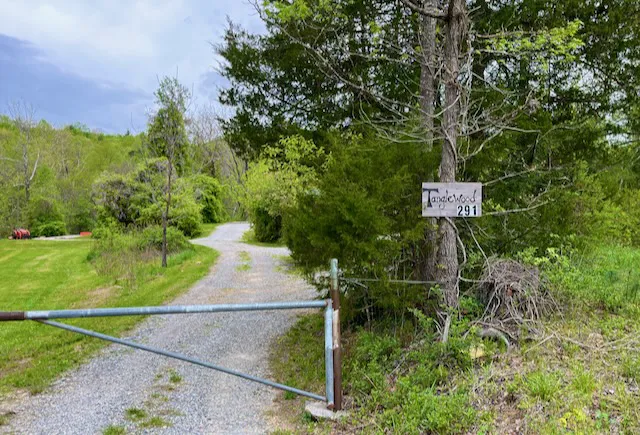 Tanglewood Campground Picture 6