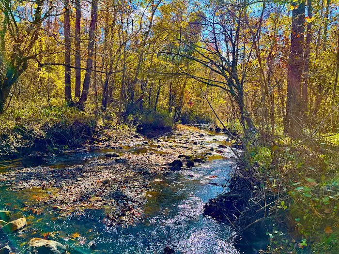 Tanglewood Campground Picture 8