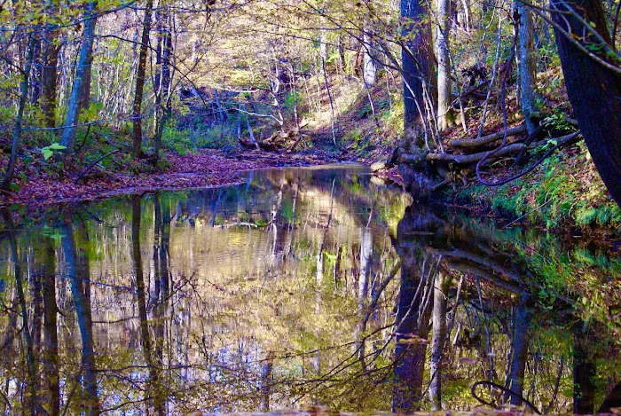 Tanglewood Campground Picture 9