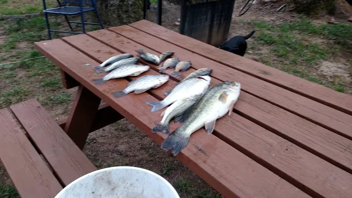 Burnett's Landing LLC Picture 6