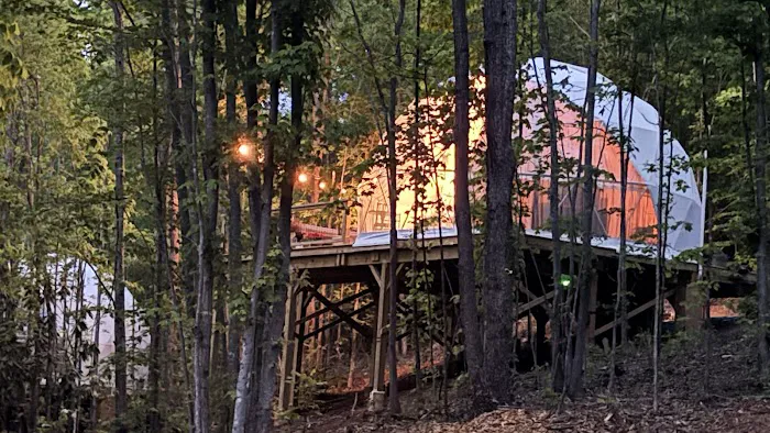 Soulshine Glamping Picture 4