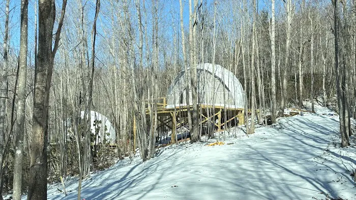 Soulshine Glamping Picture 6