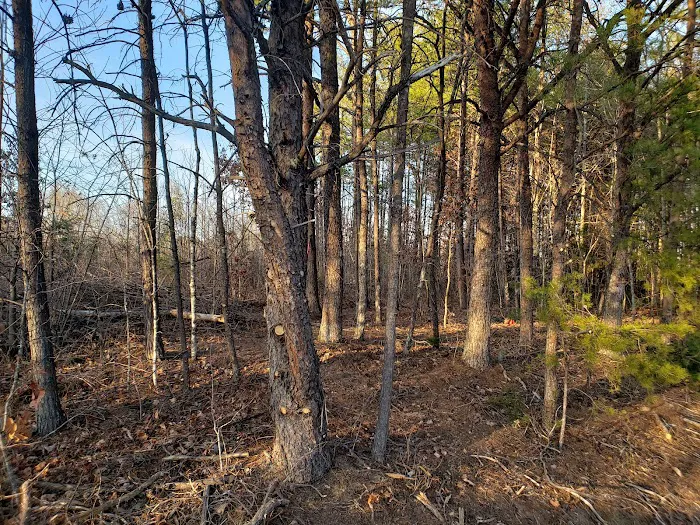 Deer Creek Campground, LLC Picture 8