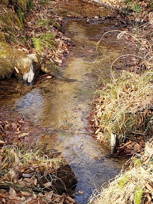 Deer Creek Campground, LLC Picture 5