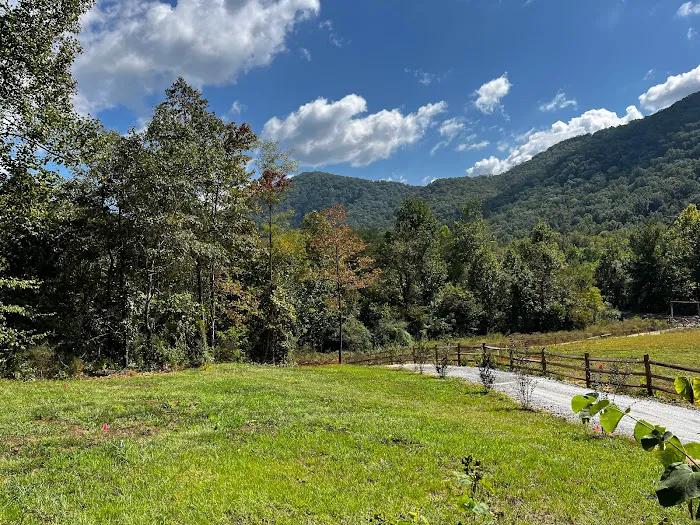 Carolina Domes Picture 10