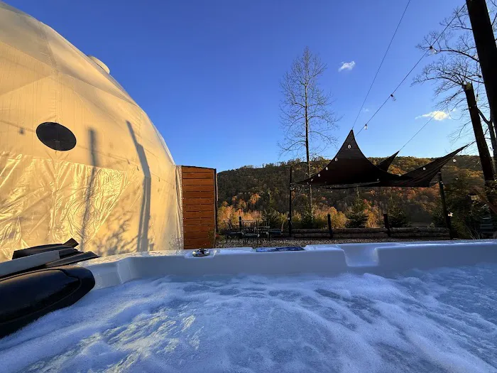 Carolina Domes Picture 3