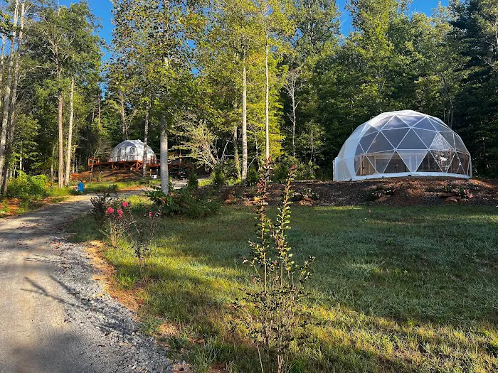 Carolina Domes Picture 8