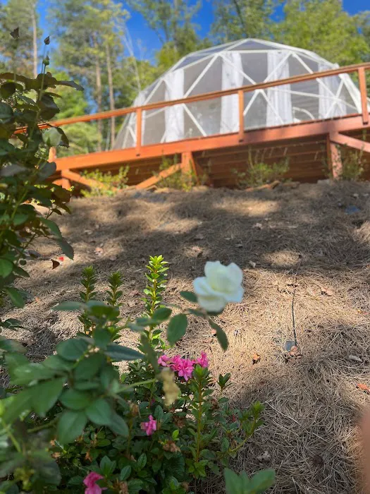 Carolina Domes Picture 1