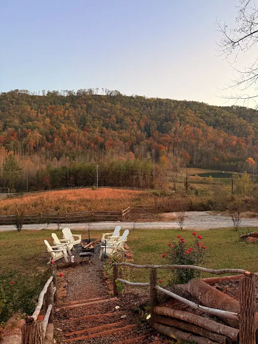 Carolina Domes Picture 6