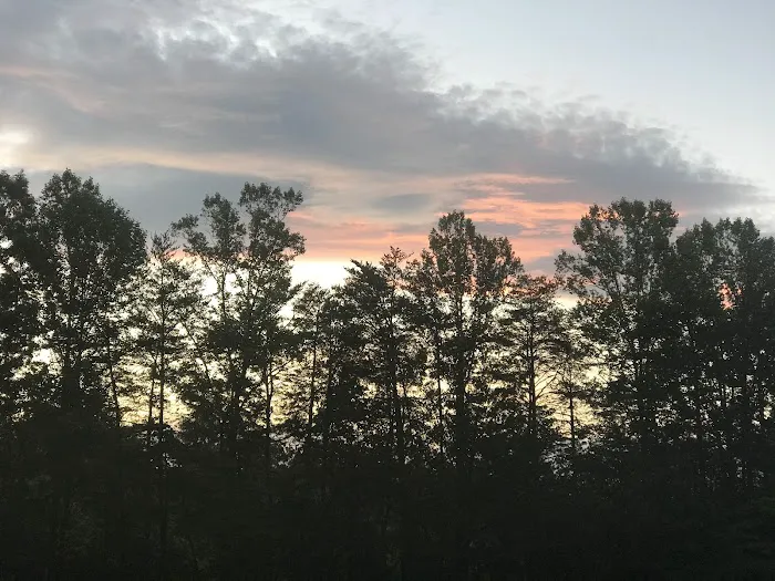 Shingle Hollow Congregational Holiness Camp Ground Picture 2