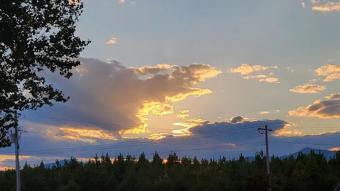 Shingle Hollow Congregational Holiness Camp Ground Picture 1