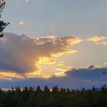 Shingle Hollow Congregational Holiness Camp Ground