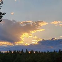 Shingle Hollow Congregational Holiness Camp Ground ico