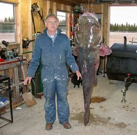 Shingle Hollow Congregational Holiness Camp Ground Picture 3