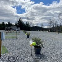 Rutherford Mountain Campground ico