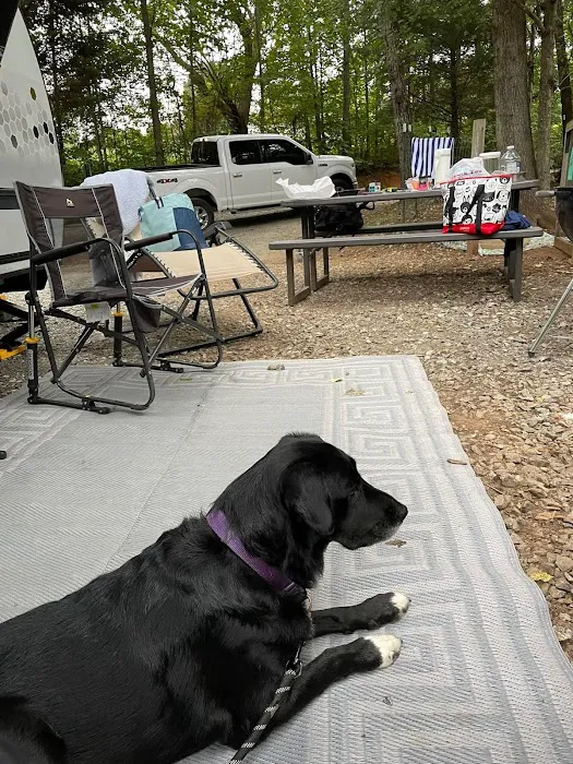 Four Paws Kingdom Campground & Dog Retreat Picture 7