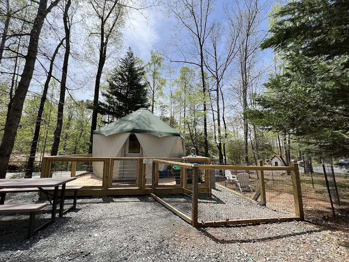 Four Paws Kingdom Campground & Dog Retreat Picture 1